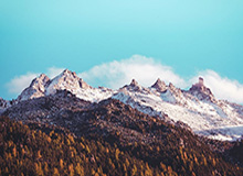 真人-哈登违规、三人新冠存疑、多位密接！火箭揭幕战推迟